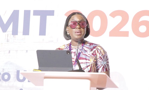 Obuobia Darko-Opoku (inset)  addressing the delegates at the summit
