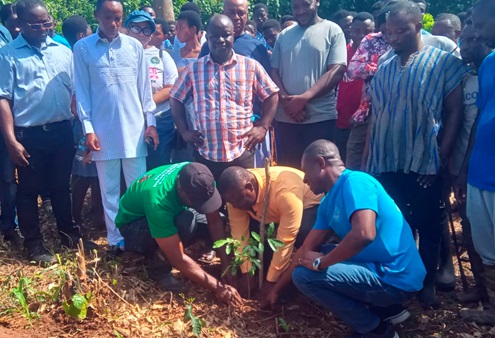 Dr Hanson Mensah-Akutteh (right), Chief Manager, Ashanti Production, GWL, together with Zachariah Mba (middle), DCE, Atwima Nwabiagya North, and Abraham Essel (left), District Manager, Forest Services Division, Nkawie, jointly planting a tree within a degraded portion of the Barekese dam forest cover