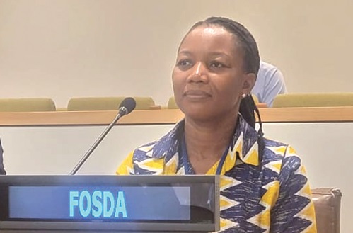 Theodora Williams Anti — Executive Director of FOSDA, speaking at the meeting