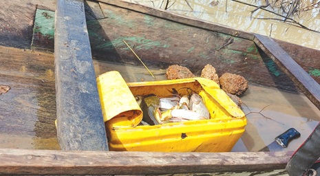 A fisherman catch for the day A fisherman catch for the day