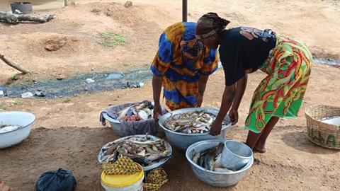 These women always smoke the fish for sale These women always smoke the fish for sale