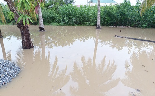 Stagnant flood waters Stagnant flood waters