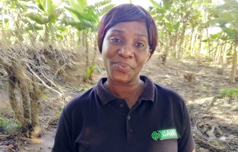 Felicia Asabea Boadu, Bono Regional Women in Agricultural Development Officer at the MoFA Felicia Asabea Boadu, Bono Regional Women in Agricultural Development Officer at the MoFA