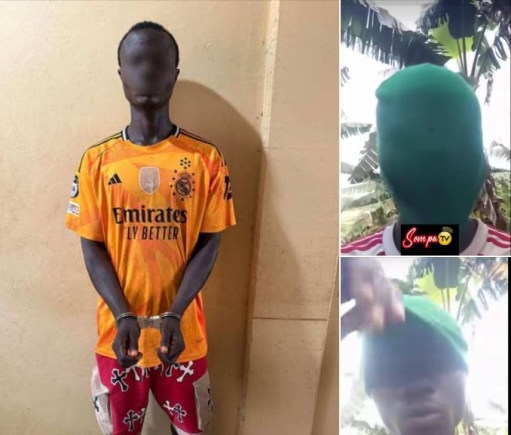 The suspect