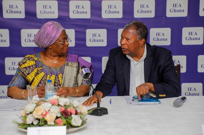 Why IEA is urging gov't to reject Gold Fields lease extension for Tarkwa mine 