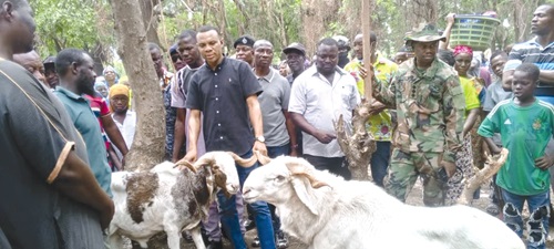Stephen Aeke Akurugo, DCE for Kassena-Nankana, inspecting livestock at the market