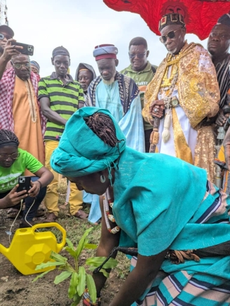 Ambassador calls for urgent action to protect Ghana's shea trees on Shea Day