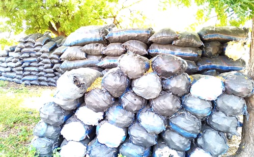 Bags of charcoal packed at Branam on the Wenchi-Wa highway waiting to be transported to the cities. Bags of charcoal packed at Branam on the Wenchi-Wa highway waiting to be transported to the cities.