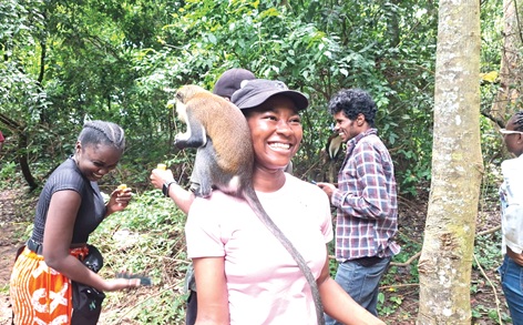 Tafi Atome Monkey Sanctuary: Where Loyalty Is Tied to the Banana