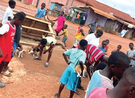 Atwima Nwabiagya North District Celebrates World Rabies Day with Free Animal Vaccination