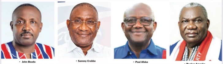 Who chairs NPP into 2028?