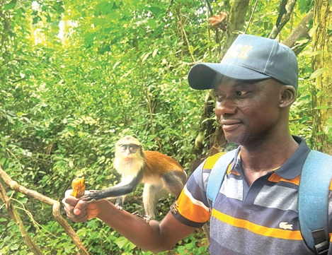 The reporter had the fine experience of interacting with the monkeys The reporter had the fine experience of interacting with the monkeys