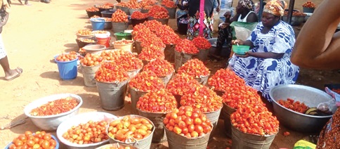 A bucket of fresh pepper was being sold between GH¢100 and GH¢120, as against the GH¢150 and GH¢200 recorded in September A bucket of fresh pepper was being sold between GH¢100 and GH¢120, as against the GH¢150 and GH¢200 recorded in September