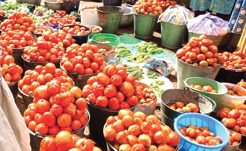 A basin of tomatoes which previously sold for between GH¢300 and GH¢350, is now selling for between GH¢120 and GH¢150. A basin of tomatoes which previously sold for between GH¢300 and GH¢350, is now selling for between GH¢120 and GH¢150.