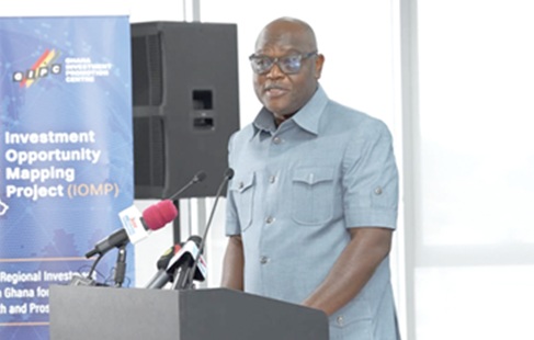Simon Madjie, CEO, GIPA