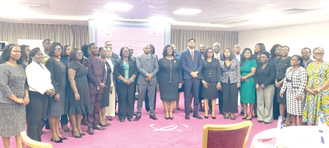 Helen Akpene Awo Ziwu (9th from right), Solicitor-General, and Yashasvi Nain (8th from right), Human Rights Adviser at the Commonwealth Secretariat, with participants in the workshop