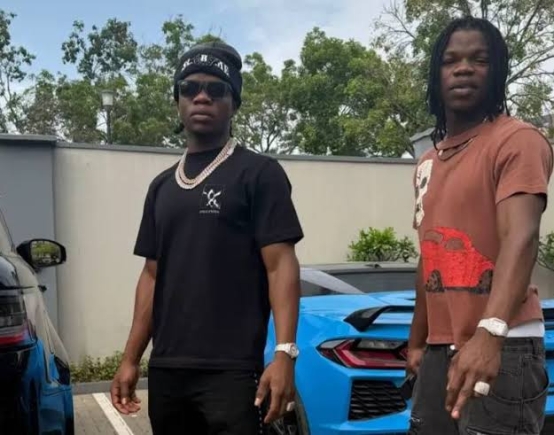Arrangement and Lancaster: Ghanaian twins plead guilty to $9million romance fraud