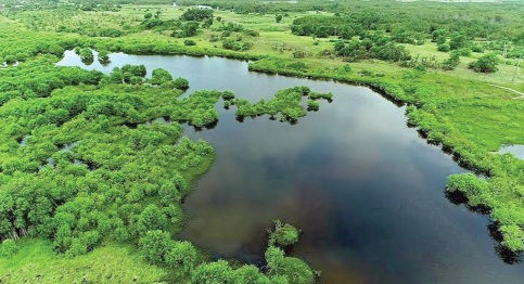 Life Interlaced Wetlands and People
