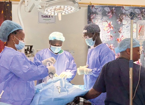 Doctors and other paramedics at work
