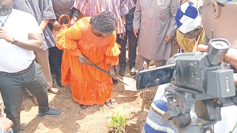 Prof. Naana Jane Opoku-Agyemang, Vice-President, planting the hybrid shea tree at Futa 