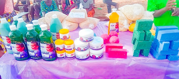 Assorted soap, pomade, maize, and soya bean varieties produced by women as part of the project