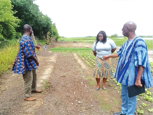 A farmer at Buipe explaining a point to Prof. Saa Dittoh (right), Agronomist and Regional Cordinator of the CIRAWA project