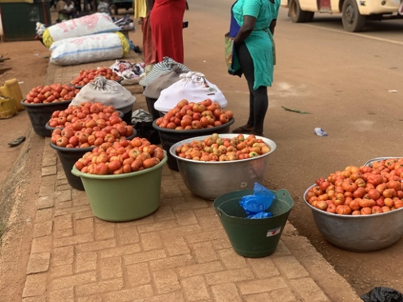 tomato