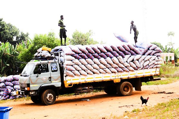 Charcoal being loaded onto a truck at Tease in the Afram Plains South District in the Eastern Region