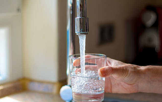 On average, a healthy adult requires 3-4 litres of water a day, and this could come from other foods and drinks (stock) On average, a healthy adult requires 3-4 litres of water a day, and this could come from other foods and drinks (stock)