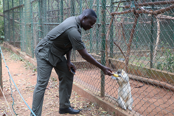Assistant zoo manager. Mr Turkson