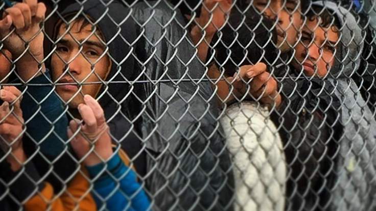 migrants migrants