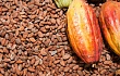 Review cocoa prices upwards – PNC to COCOBOD