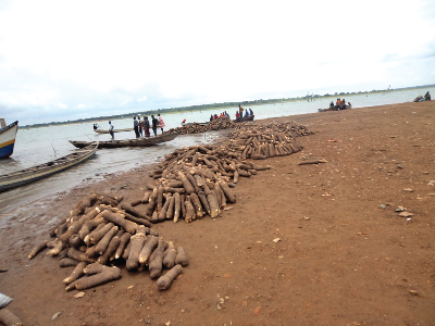 Heaps of the tubers of yams that some of the deceased persons had helped to harvest.