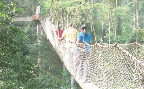 Kakum Park attracts lots of visitors regularly