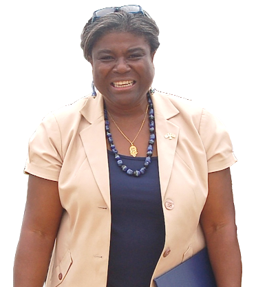 Mrs Linda Thomas-Greenfield — Assistant Secretary, Bureau of African Affairs of USA