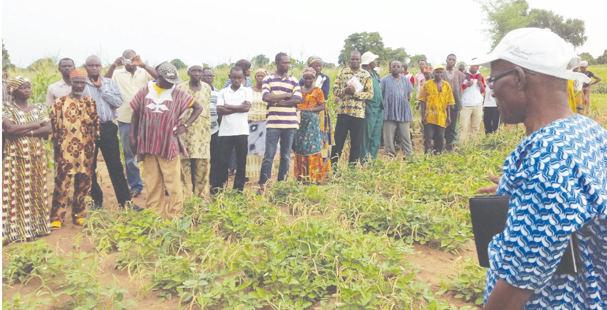 The IITA Representative, Mr  Clement Achuliba (right),  explaining a point to a section of farmers during the farmers’  field day