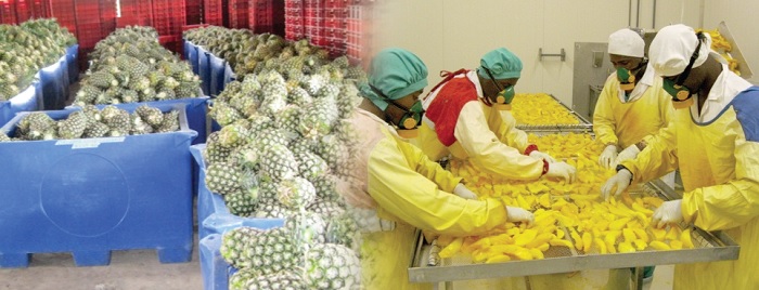 More companies have sprung up that have created more demand for fruits such as these. Picture courtesy: HPW Fresh & Dry