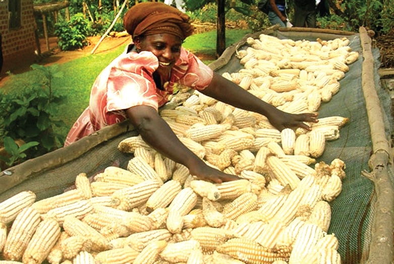 Women in agriculture support government’s commitment to improve food security.