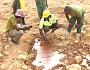 At the Supoma Forest Reserve, a local company, Fineness Elevation Company Ltd, is reclaming 22.8 hectares of degraded forest reserve. Workers of the company and Forestry Commission officers, demonstrating to our reporter, Timothy Ngnenbe, the visible evidence of the dangers chemicals used by illegal miners pose to the land