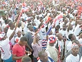 NPP faithful