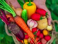 One overlooked factor that can help to keep your skin in better shape is what we eat (Credit: Getty Images)