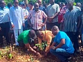 Dr Hanson Mensah-Akutteh (right), Chief Manager, Ashanti Production, GWL, together with Zachariah Mba (middle), DCE, Atwima Nwabiagya North, and Abraham Essel (left), District Manager, Forest Services Division, Nkawie, jointly planting a tree within a degraded portion of the Barekese dam forest cover