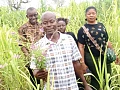 Bright Abentara, a farmer, holding the witchweed (Striga) and explaining to the journalists how it renders crops unproductive