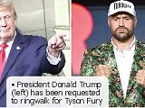 President Donald Trump (left) has been requested to ringwalk for Tyson Fury