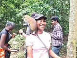 Visitors to the Tafi-Atome Monkey Sanctuary interact with the excited monkeys