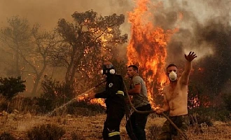 At least 12 dead, 54 injured as wildfires ravage northeastern Algeria