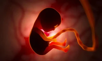 Placenta is a temporary organ that develops in the uterus during pregnancy and sustains life in the womb