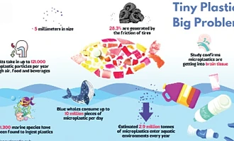 Diagram microplastics 