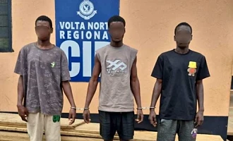 The suspects