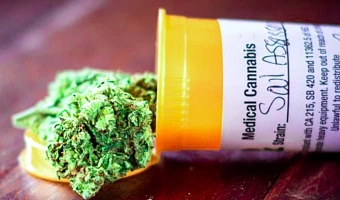 8 Companies apply to cultivate industrial cannabis in Ghana – Interior Minister